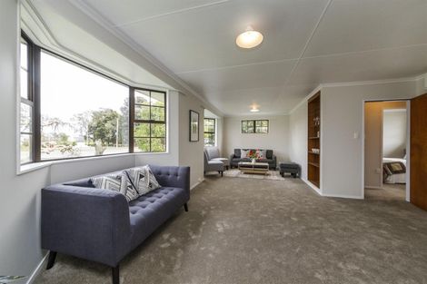 Photo of property in 38 Criterion Street, Bulls, 4818