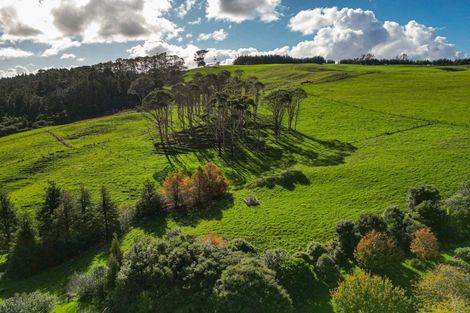 Photo of property in 487 Kanohi Road, Kaukapakapa, 0873