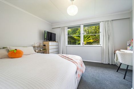 Photo of property in 47 Alfred Street, Roslyn, Palmerston North, 4414