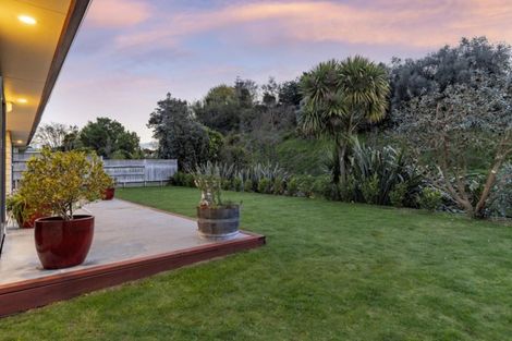 Photo of property in 209 Castlewold Drive, Bethlehem, Tauranga, 3110
