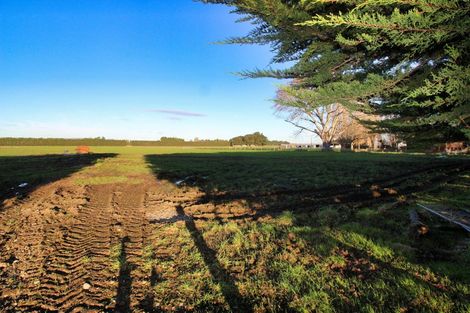 Photo of property in 85 George Street, Edendale, 9825