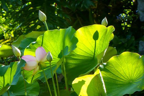 Photo of property in 234 Puketotara Road, Waipapa, Kerikeri, 0295