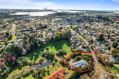 Photo of property in 70 Awaiti Place, Hairini, Tauranga, 3112