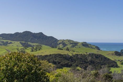 Photo of property in 8 Landel Place, Whitianga, 3510