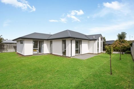 Photo of property in 96 Kawari Drive, Pegasus, 7612