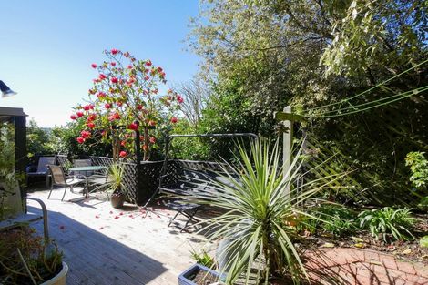 Photo of property in 33 Braeview Crescent, Maori Hill, Dunedin, 9010