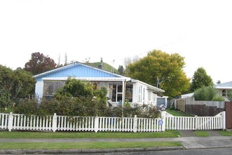 Photo of property in 17 Goodwin Street, Tirau, 3410