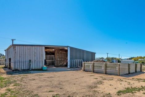 Photo of property in 164a Awahuri Feilding Road, Feilding, 4775