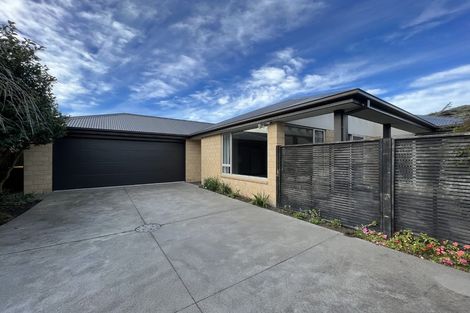 Photo of property in 116a Edward Avenue, Edgeware, Christchurch, 8013