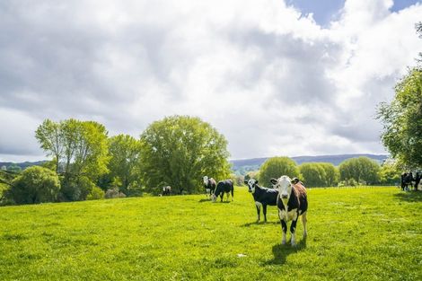 Photo of property in 1347 Tiniroto Road, Ruakituri, 4195