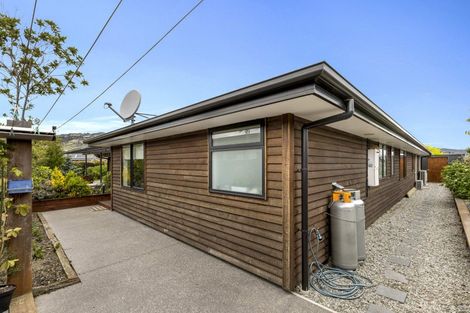 Photo of property in 59 Missy Crescent, Mount Pisa, Cromwell, 9383