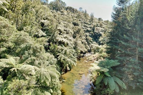 Photo of property in 262 Wainui Road South, Whakamarama, Katikati, 3181