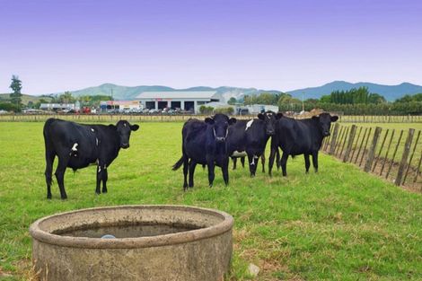 Photo of property in 175 North Road, Kaitaia, 0482