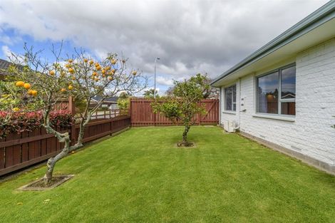 Photo of property in 135 Te Hono Street, Maungatapu, Tauranga, 3112