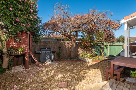 Photo of property in 14 College Place, Poike, Tauranga, 3112