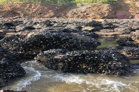 Photo of property in 63 Kai Iwi Lakes Road, Omamari, Dargaville, 0373