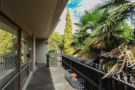 Photo of property in 21 Mchardy Street, Havelock North, 4130
