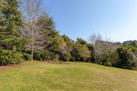 Photo of property in 19 Rewa Rewa Valley, Tairua, 3508