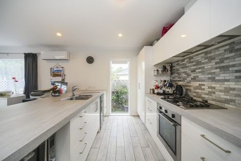 Photo of property in 229c Botanical Road, Takaro, Palmerston North, 4412