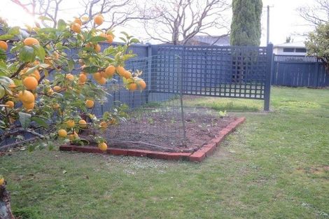 Photo of property in 12 Mana Place, Awapuni, Palmerston North, 4412