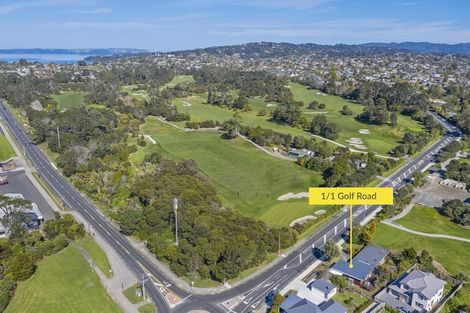 Photo of property in 1/1 Golf Road, New Lynn, Auckland, 0600