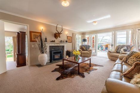 Photo of property in 20 Kauri Street, Pleasant Point, 7903