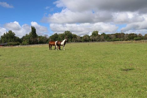 Photo of property in 45 Webster Road, Matangi, Hamilton, 3284