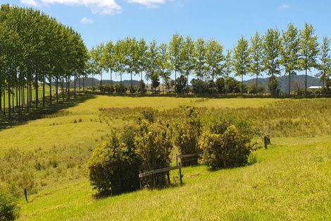 Photo of property in 237 Hewlett Road, Mata, Whangarei, 0171