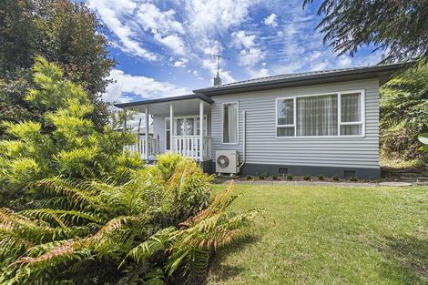 Photo of property in 73 Tirau Street, Putaruru, 3411