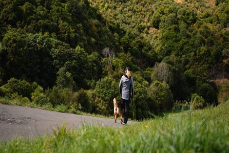 Photo of property in 60 Rochdale Drive, Churton Park, Wellington, 6037