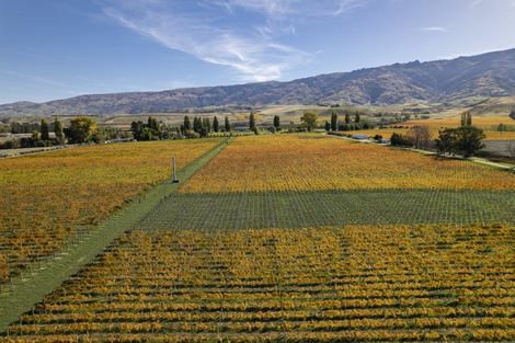 Photo of property in 1034 Luggate-cromwell Road, Mount Pisa, Cromwell, 9383