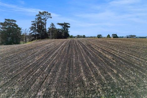 Photo of property in 40 Rona Road, Brixton, Waitara, 4382