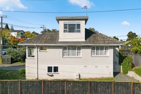 Photo of property in 123 Mahoe Street, Melville, Hamilton, 3206