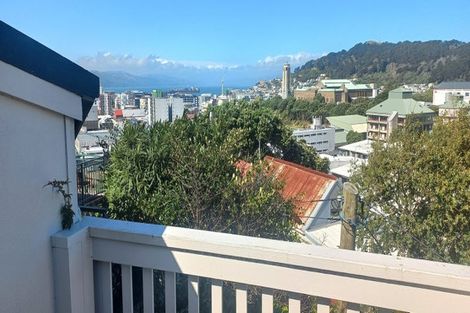 Photo of property in 53 Hankey Street, Mount Cook, Wellington, 6011