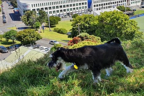 Photo of property in 90 Harold Street, Mount Eden, Auckland, 1024