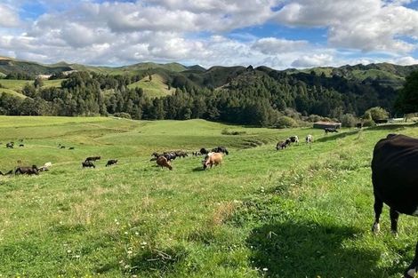 Photo of property in 755 Limeworks Loop Road, Karamu, Hamilton, 3285