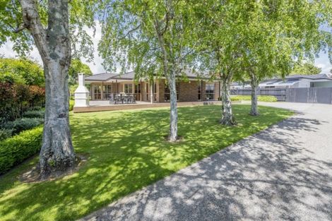 Photo of property in 8a Dee Street, Levin, 5510