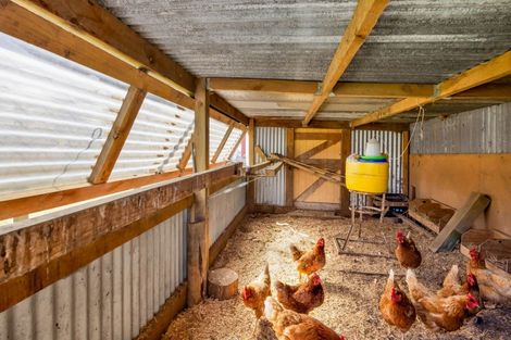 Photo of property in 38 King Edward Street, Eltham, 4322