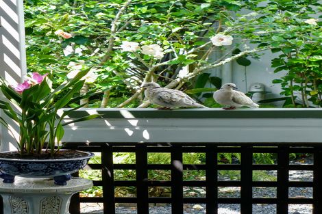 Photo of property in 234 Puketotara Road, Waipapa, Kerikeri, 0295