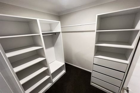 Photo of property in 61 Bert Wall Drive, Omokoroa, 3114