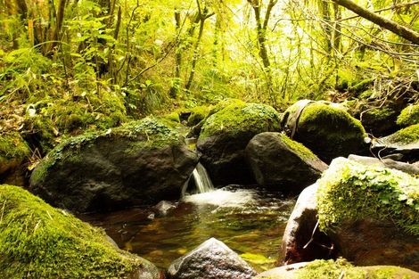 Photo of property in 828 Dover Road, Okato, New Plymouth, 4374