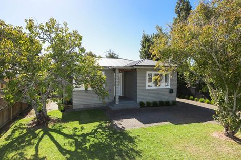 Photo of property in 8 Saint Winifreds Avenue, Hamilton East, Hamilton, 3216