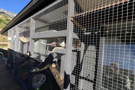 Photo of property in 43 Muster Road, Jacks Point, 9371