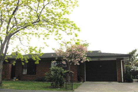 Photo of property in 146 Charles Street, Blenheim, 7201