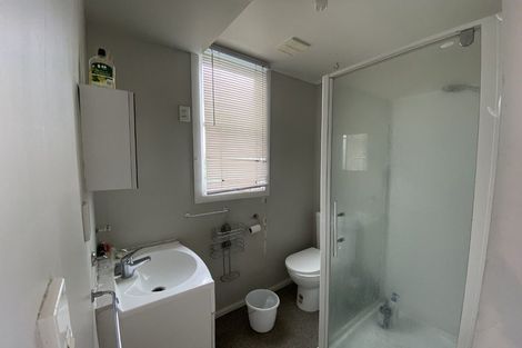 Photo of property in 125 Wallace Street, Mount Cook, Wellington, 6021