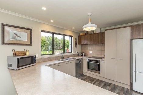 Photo of property in 36 Oakland Lane, Shannon, Palmerston North, 4474