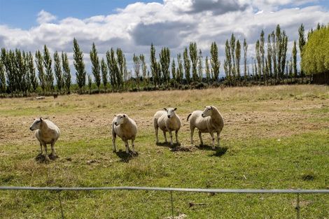 Photo of property in 418c Woodfields Road, Swannanoa, Rangiora, 7475