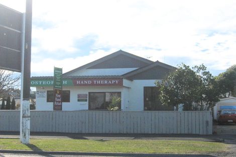 Photo of property in 61 Georges Drive, Napier South, Napier, 4110