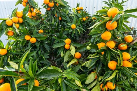 Photo of property in 23 Hathaway Street, Spring Creek, 7202