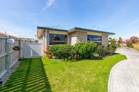 Photo of property in 1436a Cameron Road, Greerton, Tauranga, 3112